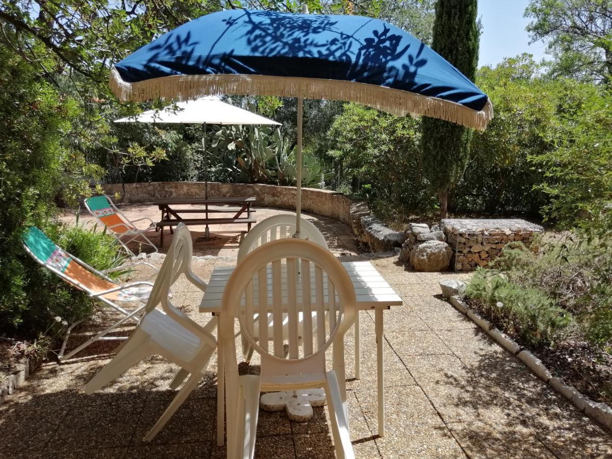 טולון T2 36 M2, Rdc De Villa, Clim, Gd Jardin Clos, Animx Ok, Quartier Mt Faron Tres Calme, Wifi, Parking מראה חיצוני תמונה